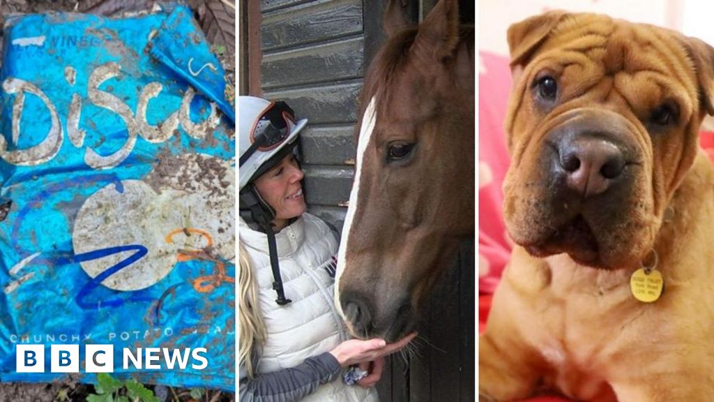 Yorkshire news quiz of the week – test your knowledge