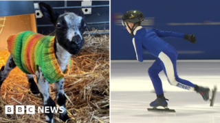 Lamb knitters to ice skaters: Yorkshire stories to make you smile