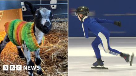 Lamb knitters to ice skaters: Yorkshire stories to make you smile