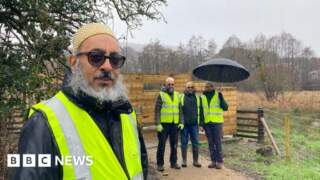 Tree planting aids restoration of ancient bog
