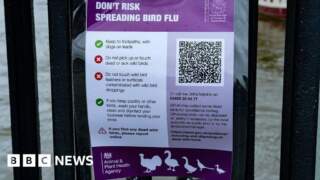 'Small number' of bird flu cases confirmed at lake