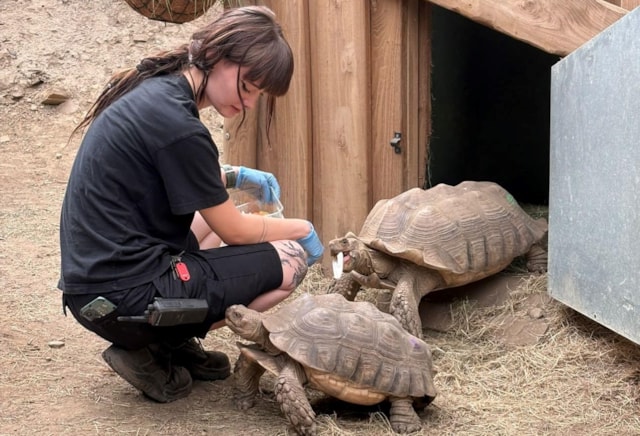 Leeds volunteers turn passions into careers