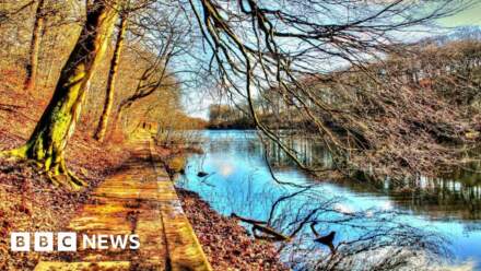 Consultation over 300-home plan near beauty spot
