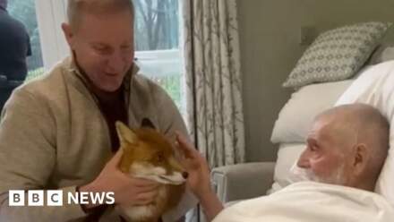 'A visit from a fox was my dad's dying wish'