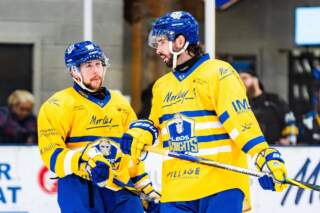 Leeds Knights edge derby showdown against Sheffield Steeldogs – but both sides left counting the cost