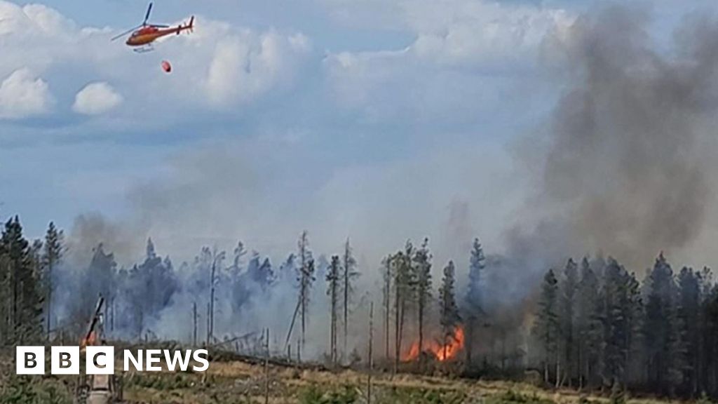MP urges financial help for moorland fire affected