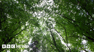 Microplastics more prevalent in rural areas – study