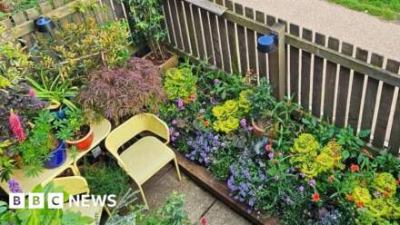 Tiny plot wins BBC Gardeners' World award