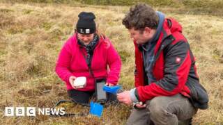 'Rare moss species are fighting climate change'