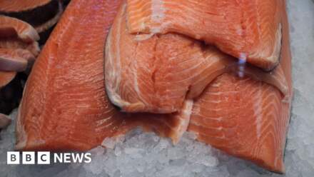 Four in court over 'Aldi salmon-selling fraud'
