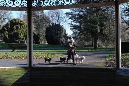 14 of the best photos as Leeds basks in the winter sunshine