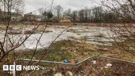 Homes for 'young, working families' approved