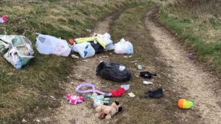 Woman made to pay £600 after somebody else dumped her rubbish in countryside
