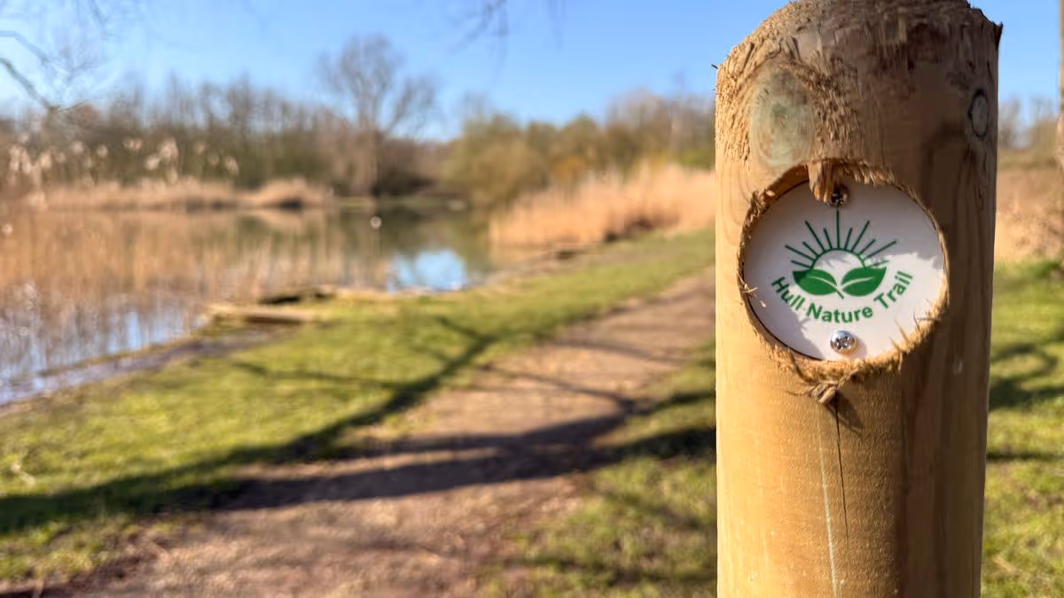 Hull Nature Trail expands with opening at Oak Road Playing Fields
