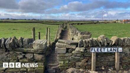 Councillors back 295-home plan for green belt land