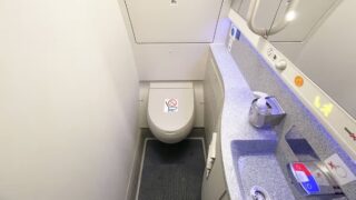 Woman finds ‘secret compartment’ in plane toilet and contents are brilliant