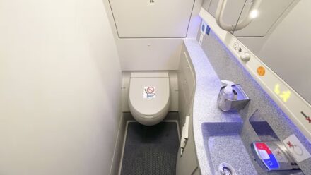 Woman finds ‘secret compartment’ in plane toilet and contents are brilliant
