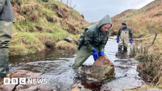 Dry stone wall 'leaky dams' used to reduce floods