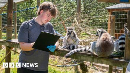 Budding zookeepers get hands-on experience