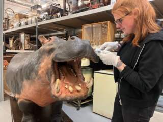 Visitors find a million reasons to flock to city’s museums