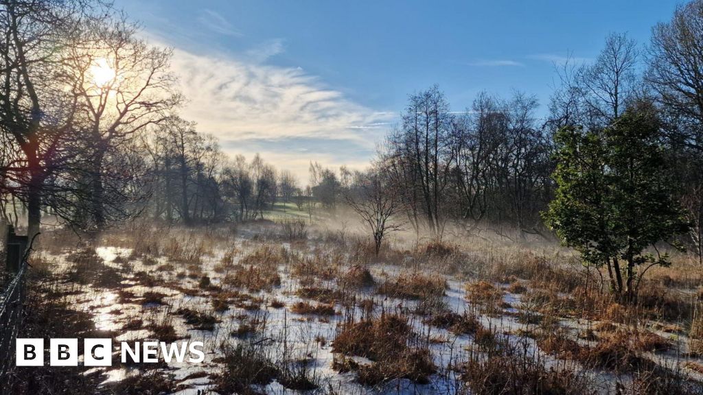 Call to protect bog at risk from climate change