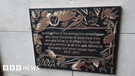 Plaque to honour tree felling protesters unveiled