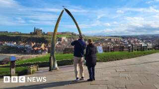 New Whale Bone Arch could cost up to £60,000