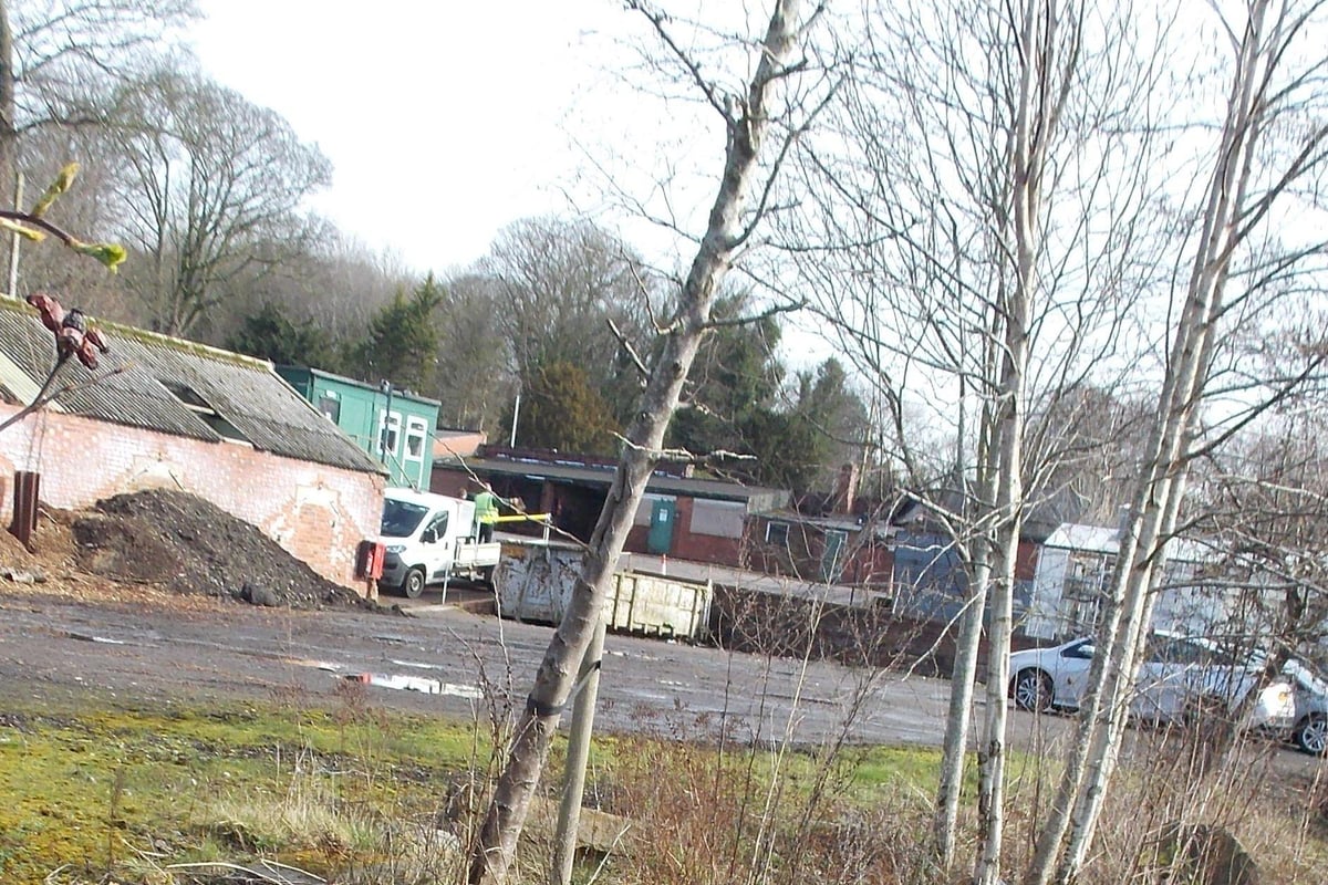 Sheffield park friends group call for independent scrutiny of council-run charity