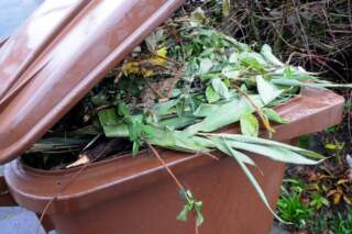 Wakefield garden waste collections to start again – here's when