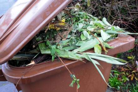Wakefield garden waste collections to start again – here's when