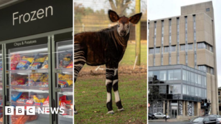 Stories to make you smile from across Yorkshire