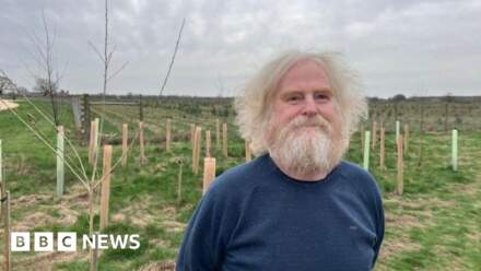 York Community Woodland area dedicated to foster carers