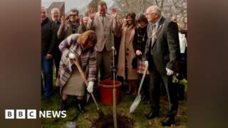 Charity plants sapling as symbol 'hope and growth'