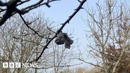 The village waging a very British war on dog waste