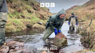 How ‘leaky dams’ are helping to reduce floods