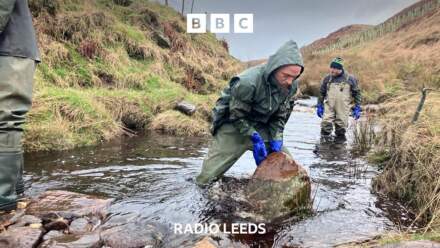 How ‘leaky dams’ are helping to reduce floods