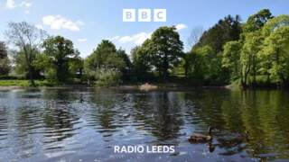River Wharfe ‘Murky with sewerage’