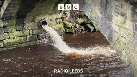 ‘Rivers are for fish not human waste’