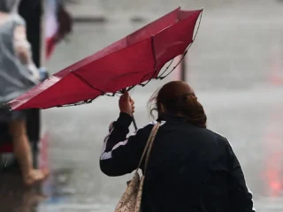 Attractions close in high winds as weather warning in place | YorkMix