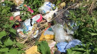 Woman who paid men to get rid of waste ends up in court