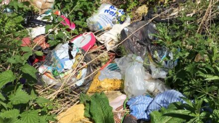 Woman who paid men to get rid of waste ends up in court