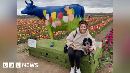 Tulip festival bans dogs after pet's death