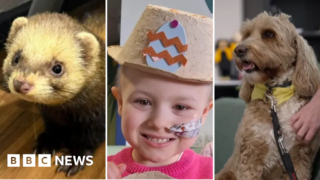Stories to make you smile from across Yorkshire