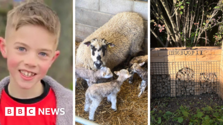 Stories to make you smile from across Yorkshire