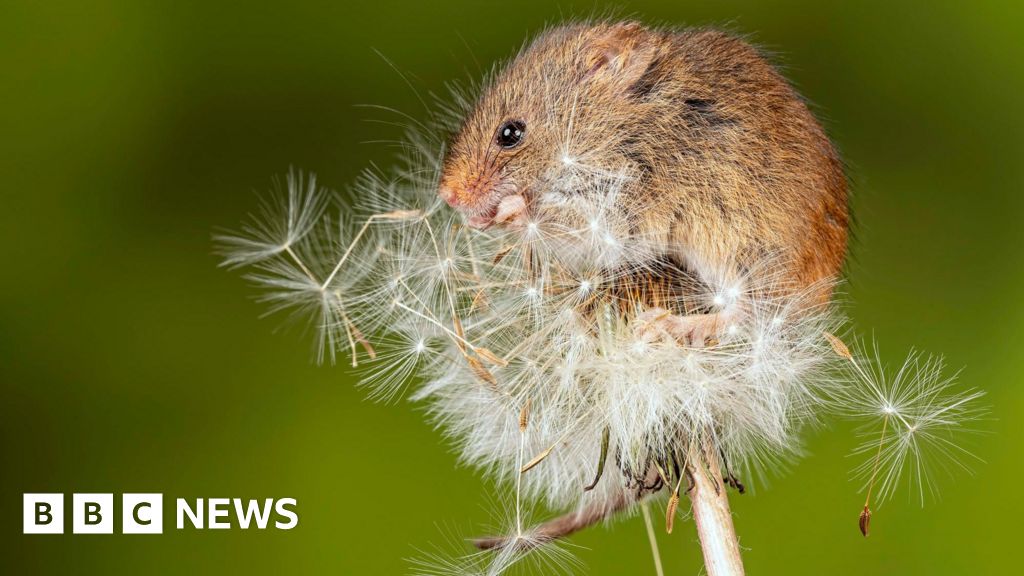 Two-year nature recovery project completed