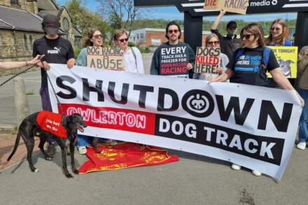 Campaigners at Owlerton Stadium in Sheffield call for greyhound racing ban