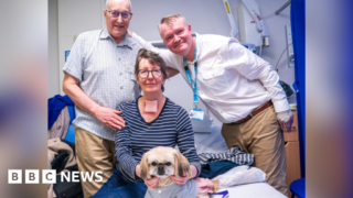 Therapy dog helps ICU patient speak again