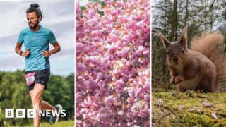 Stories to make you smile from across Yorkshire