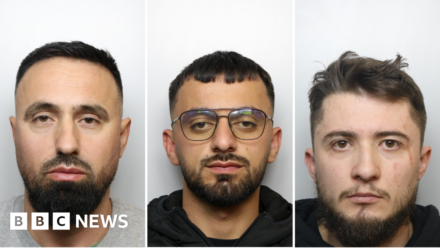 Men jailed for running commercial cannabis farms