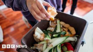 Food waste collections to begin in autumn